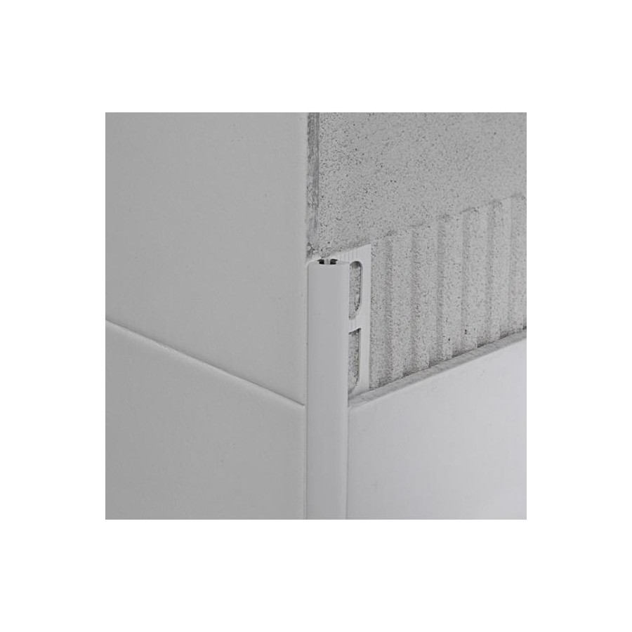 PR RONDBRIL MT.2,7 RPA/10 PROF.JOLLY 80646