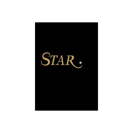 VALPAINT ADDITIVO STAR P400 SILVER GR.40