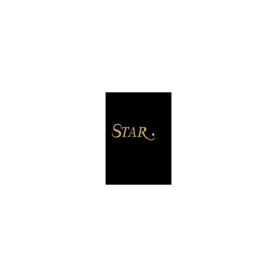 VALPAINT ADDITIVO STAR P405 GOLD GR.40