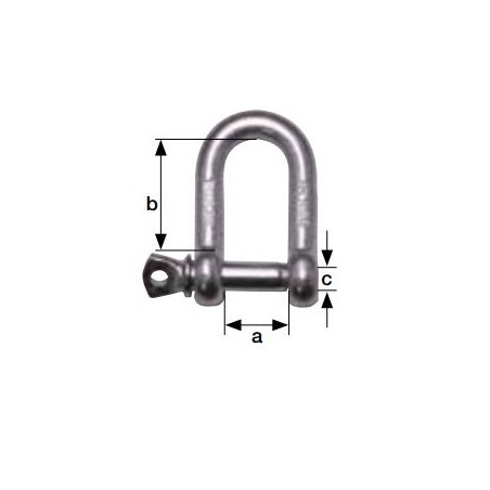 GRILLI DRITTI 12 1/2