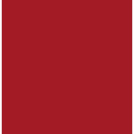 V33 SMALTO MULTISUP. ML.125 ROSSO