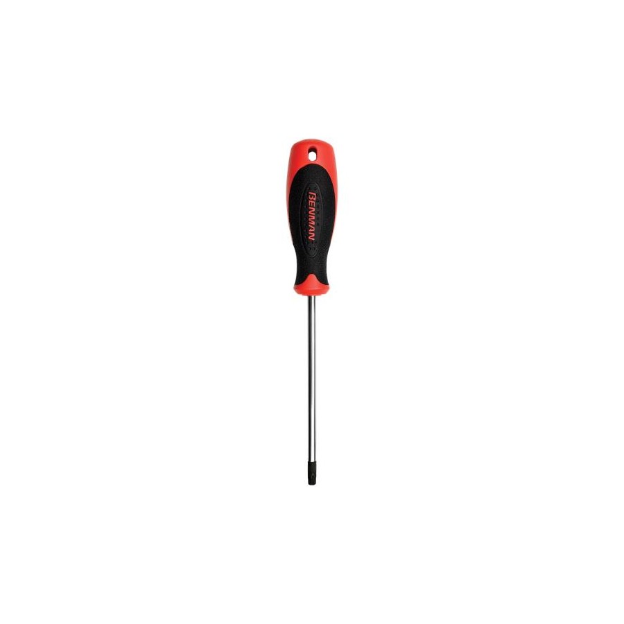 BENMAN GIRAVITE TORX C/F 10*75 70431