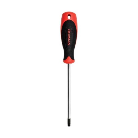 BENMAN GIRAVITE TORX C/F 25*100 70434