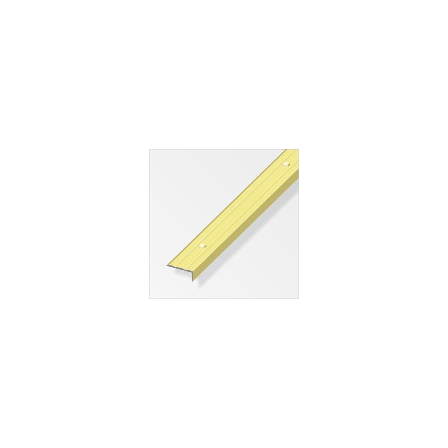 PROFILO TERM.CHIUS. 25*10 MT.1 ALL.OTT. 02443
