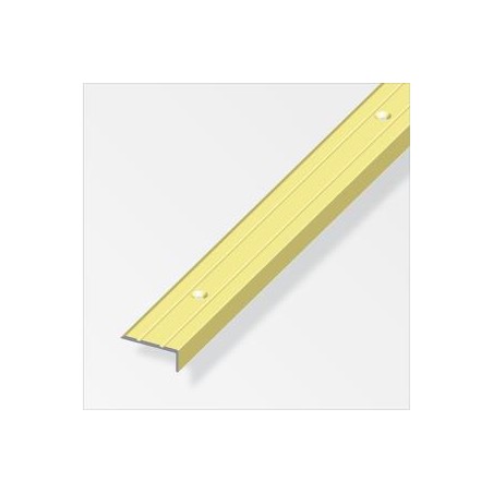PROFILO TERM.CHIUS. 25*10 MT.1 ALL.OTT. 02443