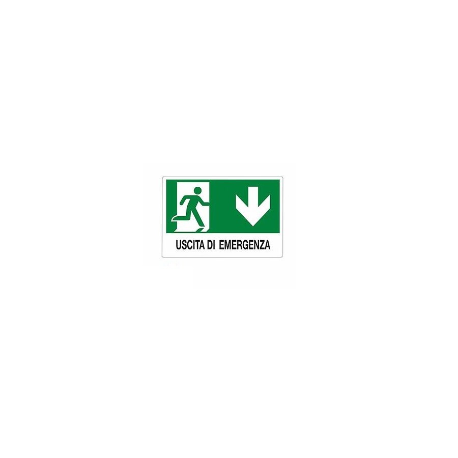 CARTELLO ALL.SICUREZZA 300*200 USCITA EM. IN BASSO