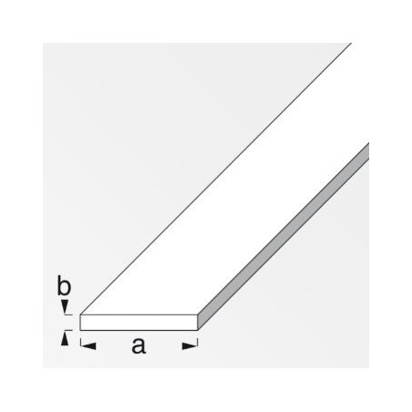 BARRA PIATTA 30*3 PVC B.CO MT.2,5 16458