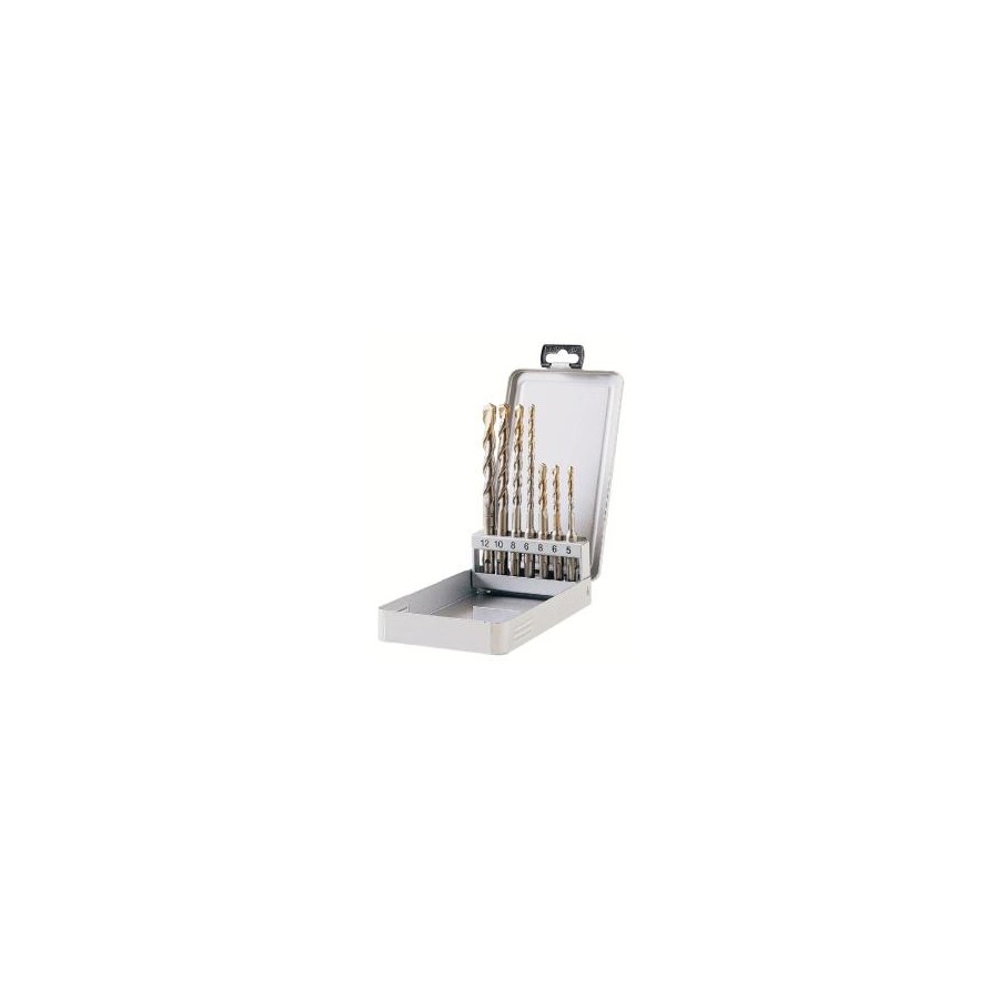 PUNTE ASS.SDS-PLUS 5-12 7 PZ. 03165401