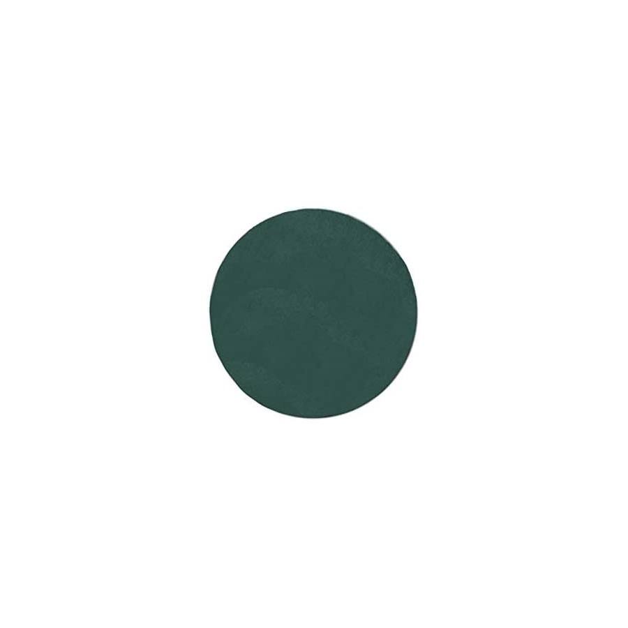 DISCO FELTRO MM.457 VERDE 248V