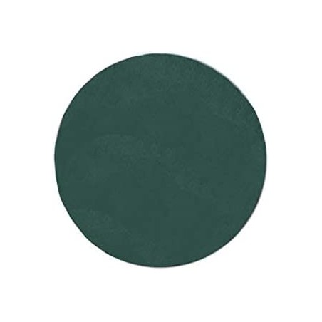 DISCO FELTRO MM.457 VERDE 248V