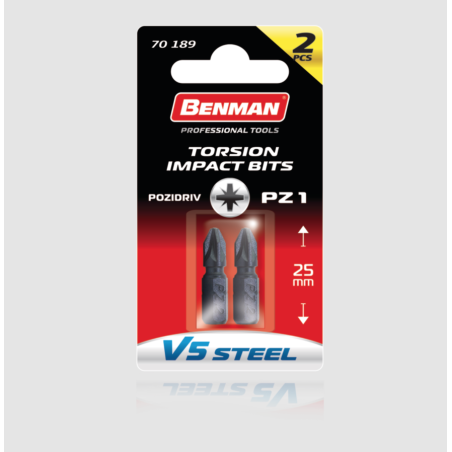 BENMAN INSERTI PZ 1*25 2PZ 74942