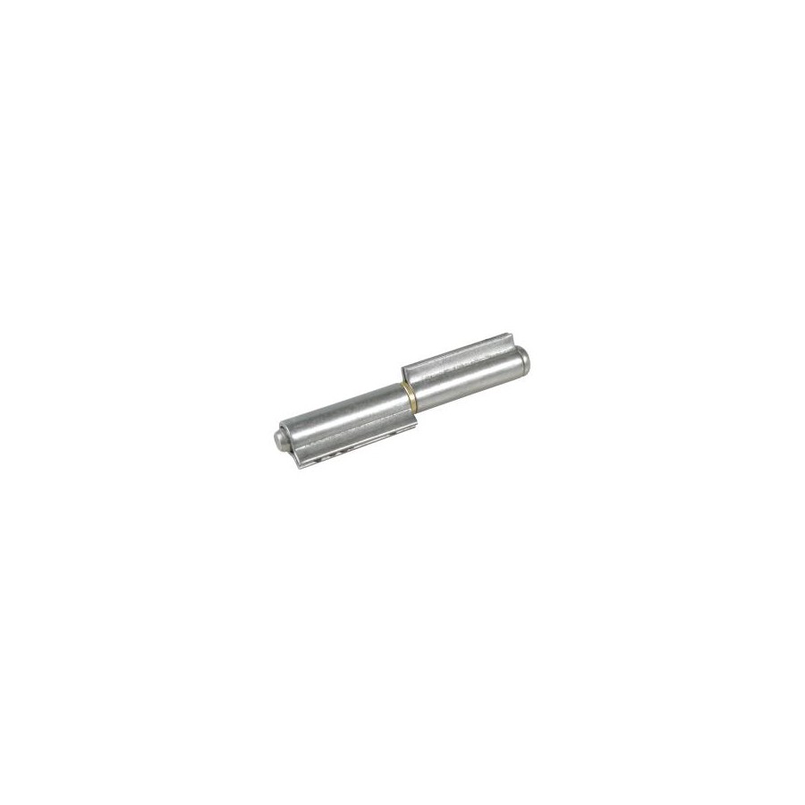 CERNIERA A SALDARE 100 2 ALI 901 INOX
